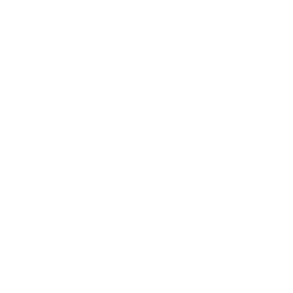 logo du blog de typographie cops and laws 