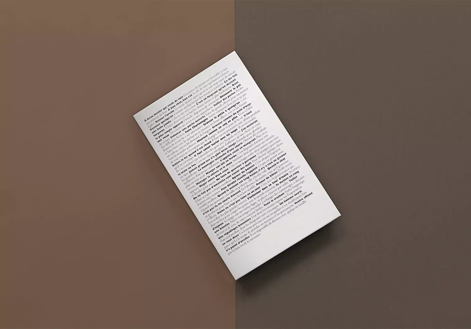 Design editorial d'un petit livre d'expression francaise, graphisme jean-charles abrial 