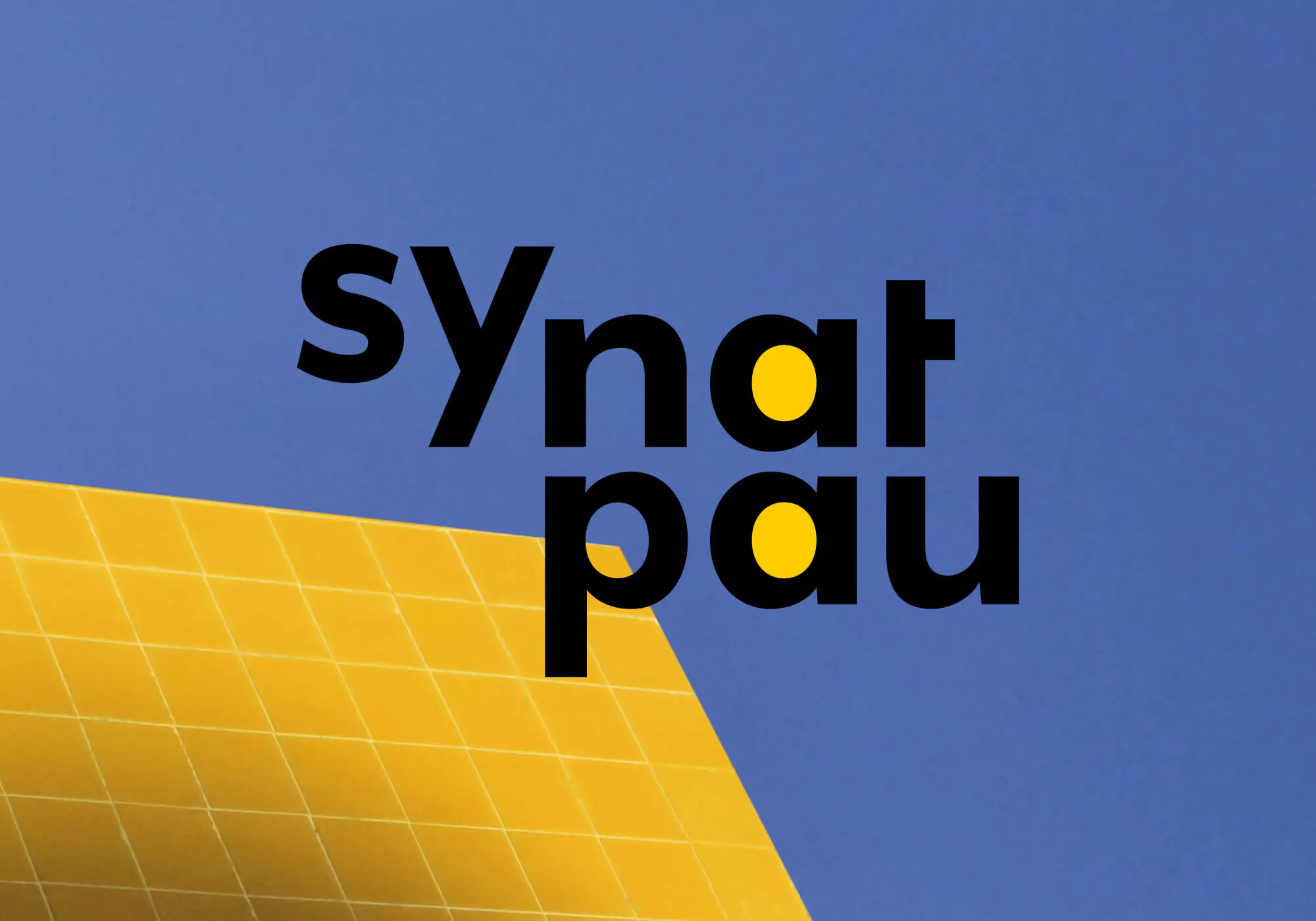 logo, design graphique et Identité visuelle pour le Synatpau, syndicat national des professions de l'architecture et de l'urbanisme, graphiste jean-charles abrial 
